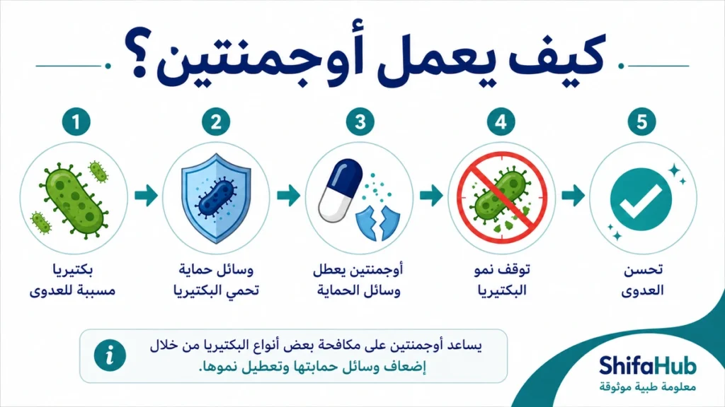 كيف يعمل اوجمنتين؟