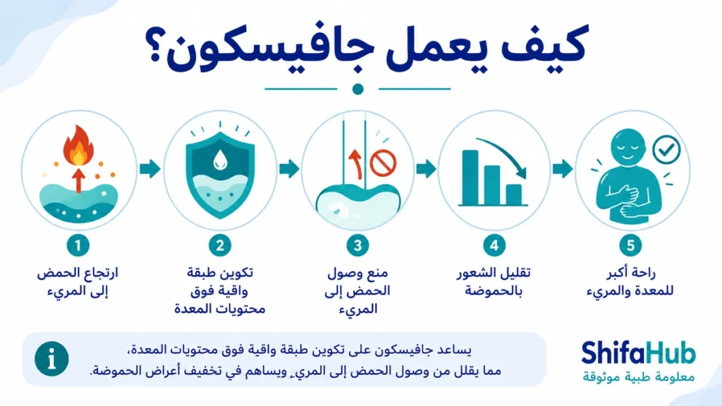 كيف يعمل جافيسكون؟