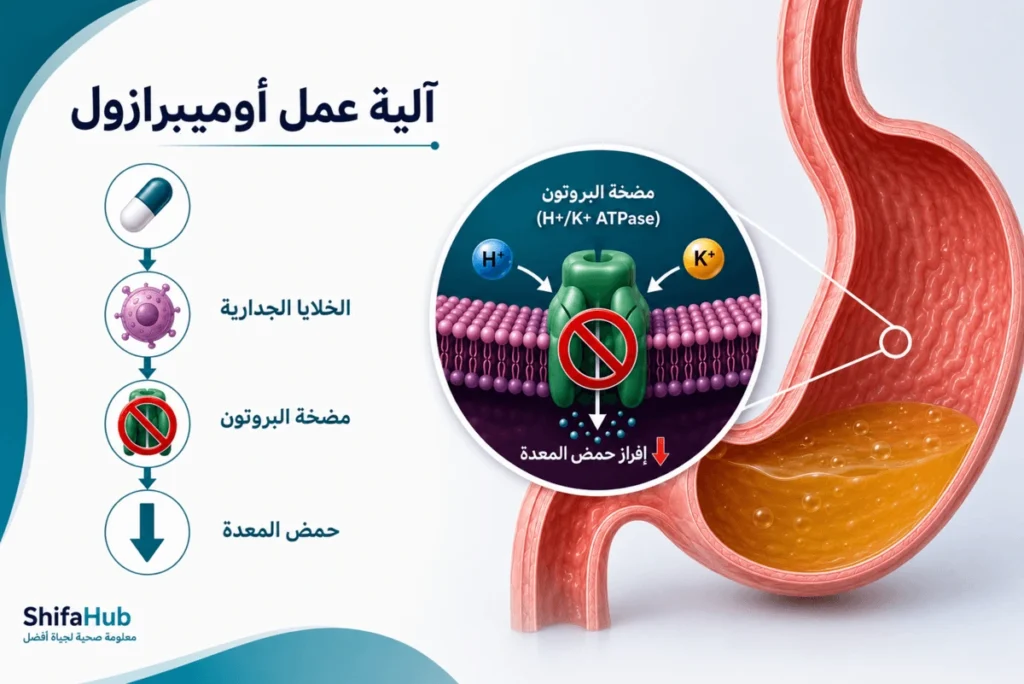 الية عمل دواء أوميبرازول