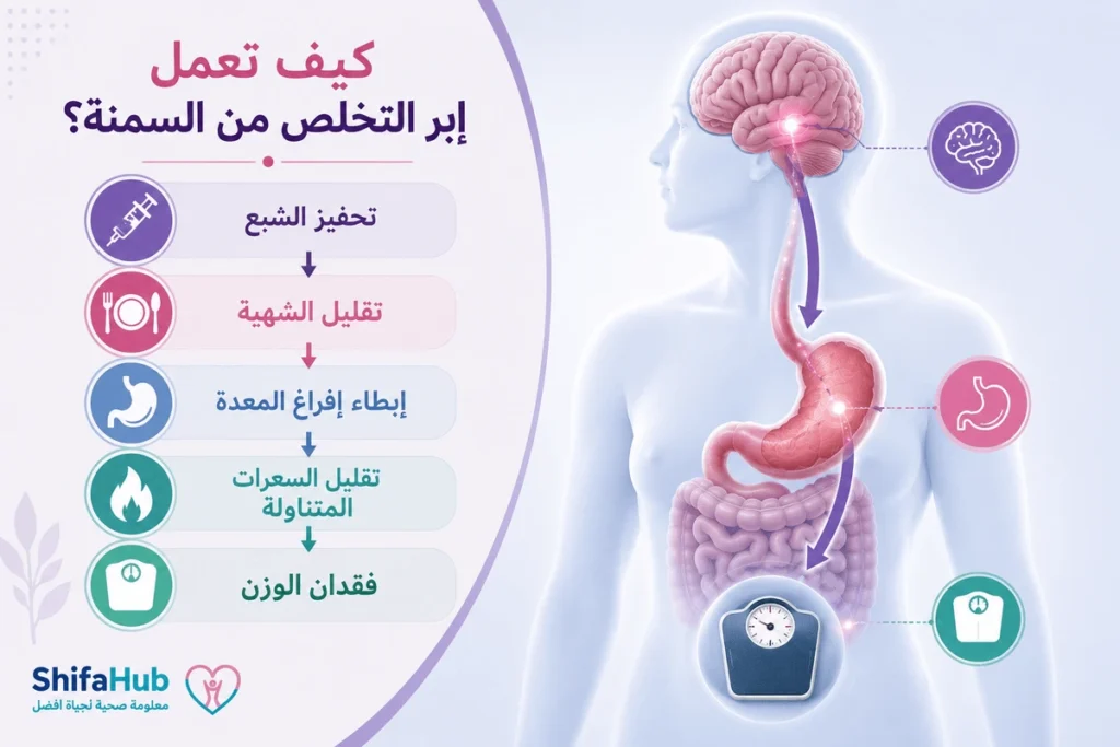 إبر التخلص من السمنة