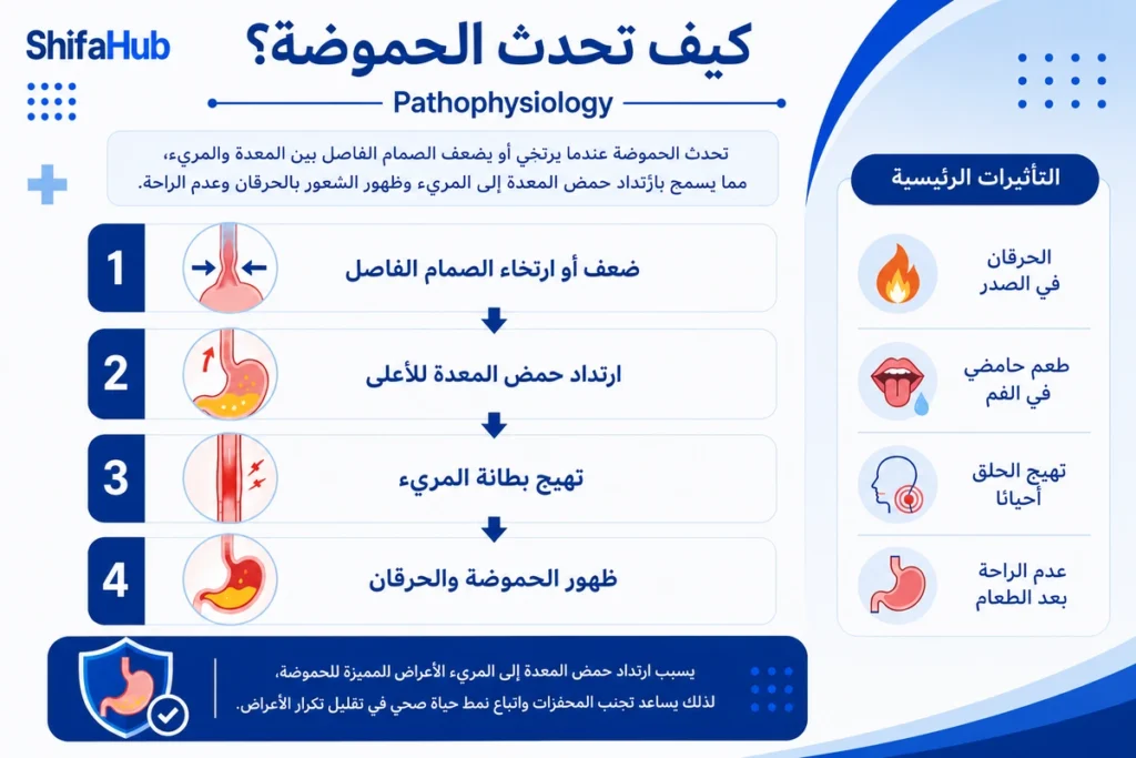 كيف تحدث الحموضة؟