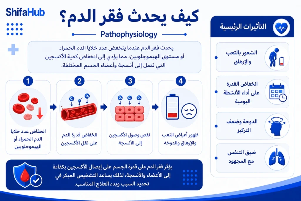 كيف يحدث فقر الدم؟