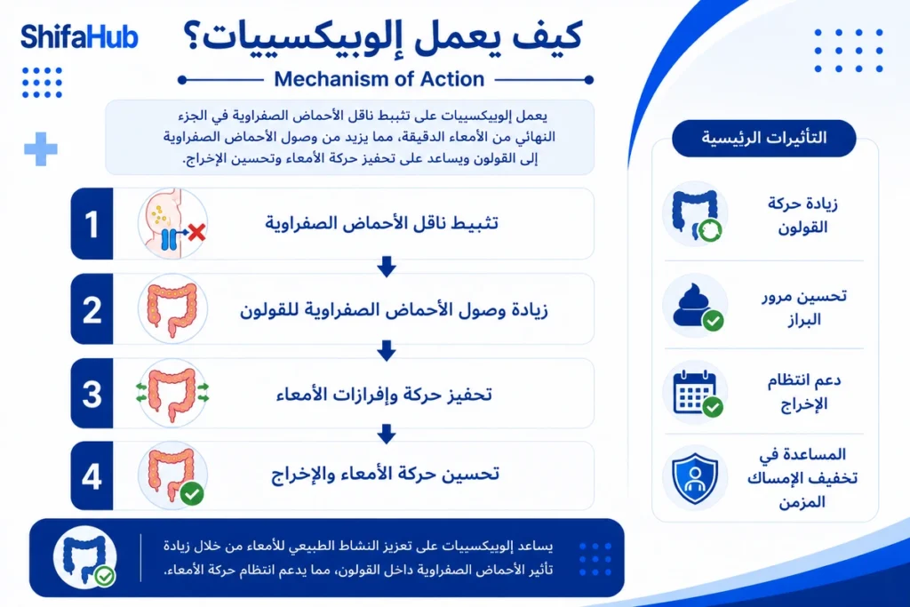 كبف يعمل إلوبيكسيبات؟