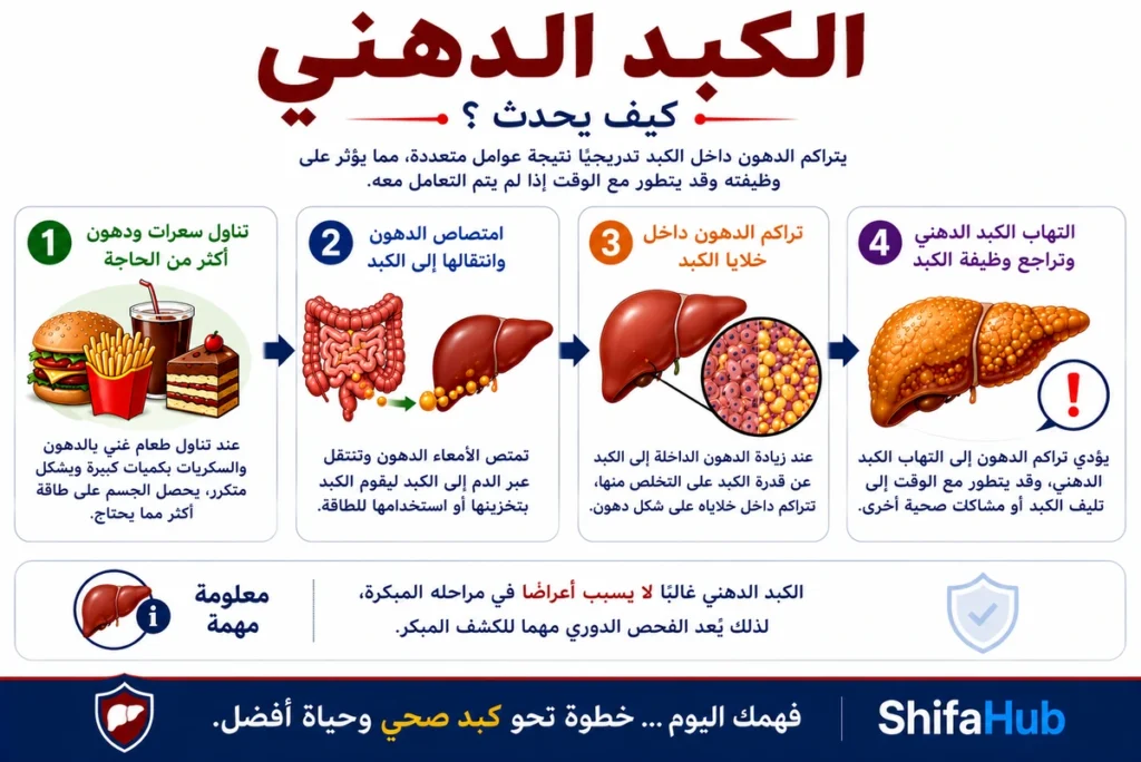 كيف يحدث الكبد الدهني؟