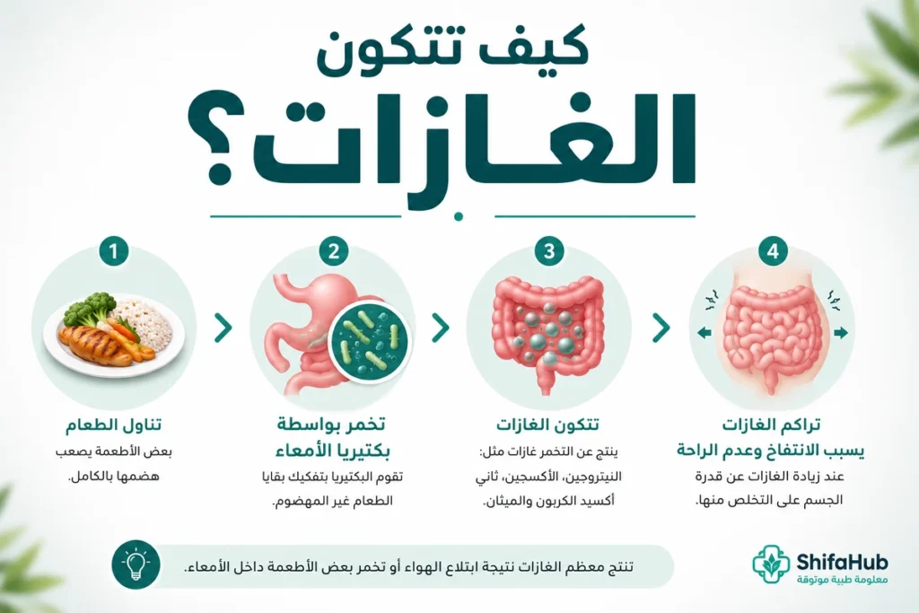 كيف تتكون الغازات؟