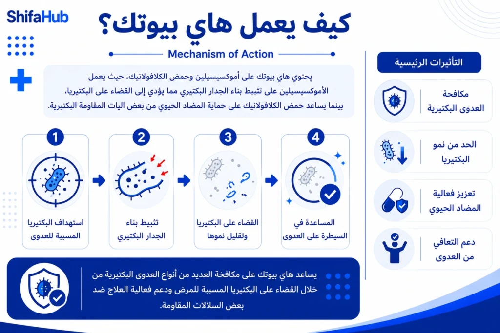 كيف يعمل هاي بيوتك؟