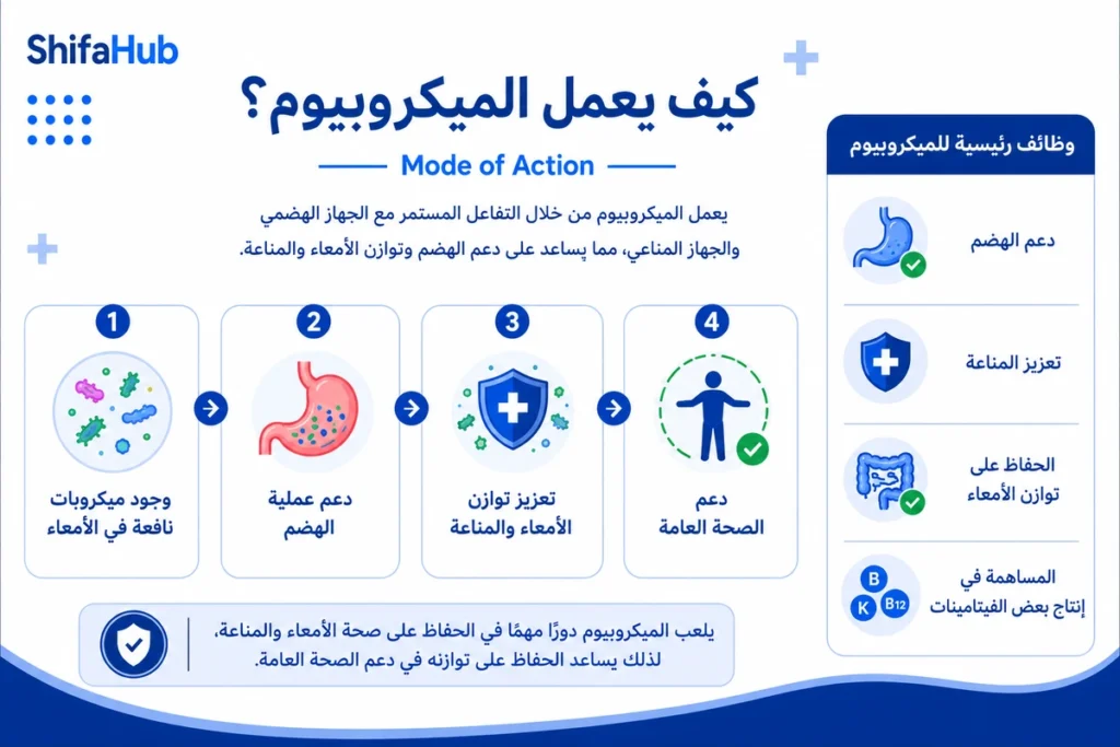 كيف يعمل الميكروبيوم؟