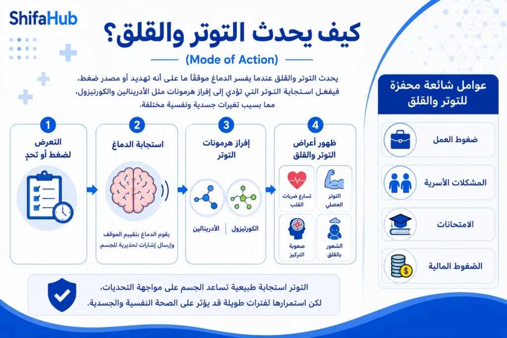 كيف يحدث التوتر والقلق؟