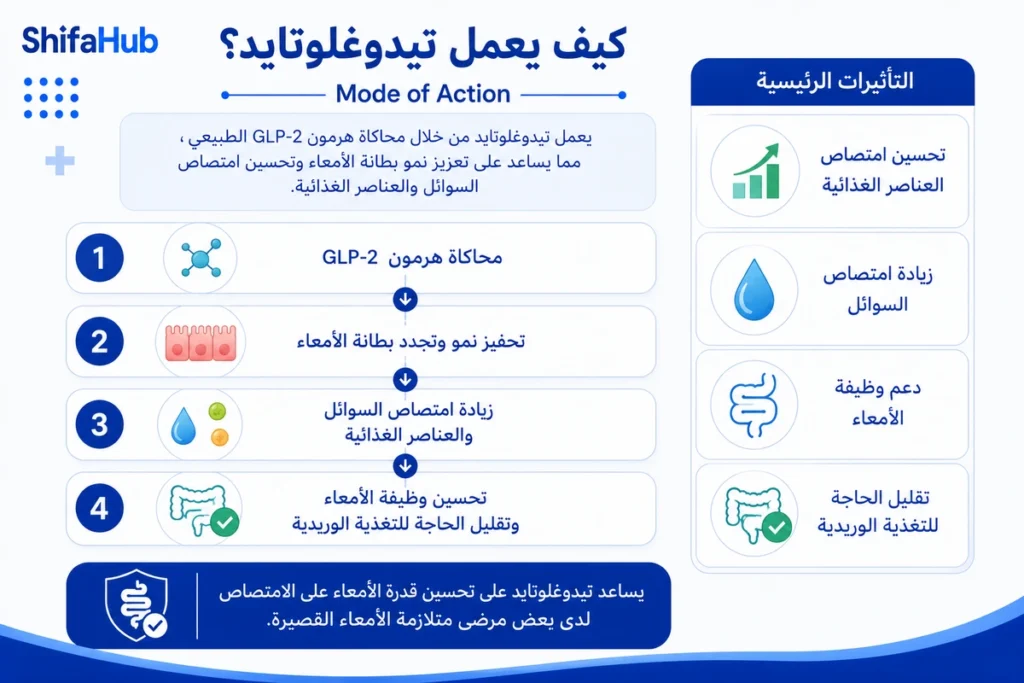 كيف يعمل تيدوغلوتايد؟