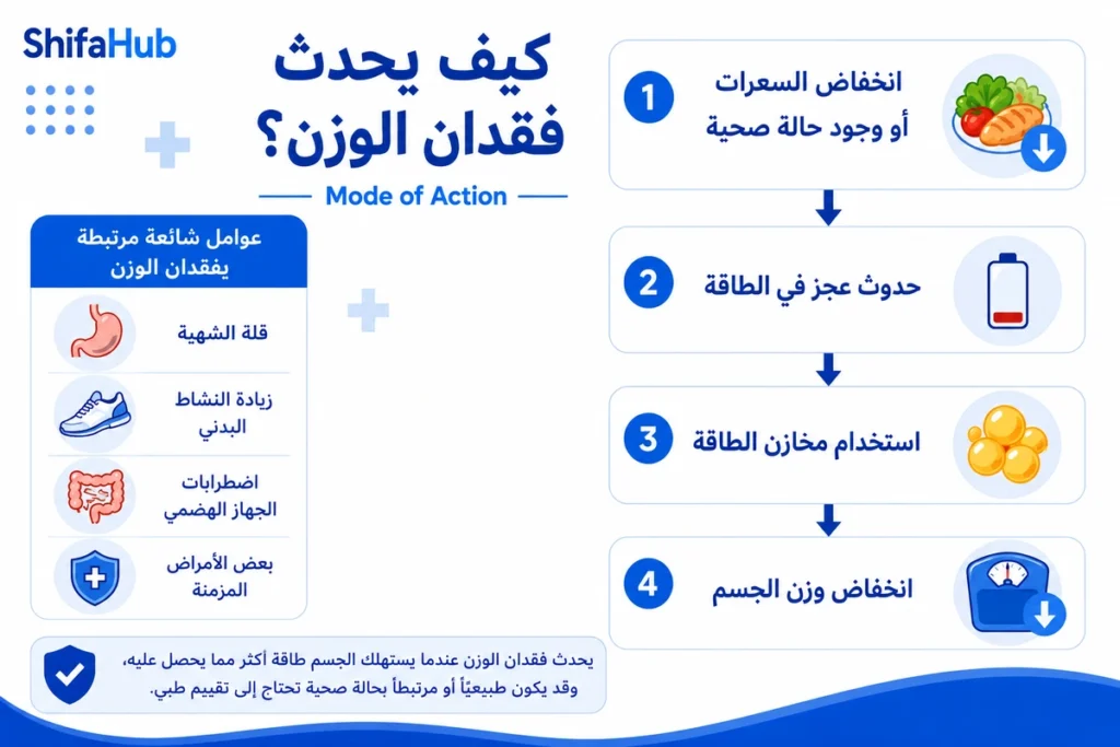 كيف يحدث فقدان الوزن؟
