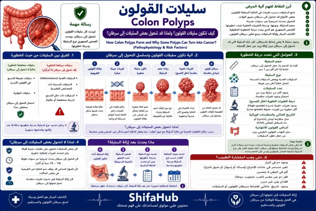 كيف تتكون سليلات القولون؟